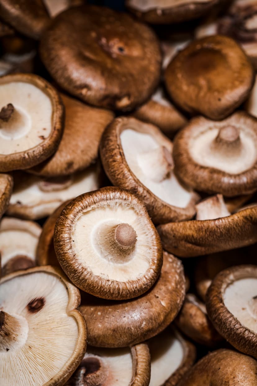 Shiitake